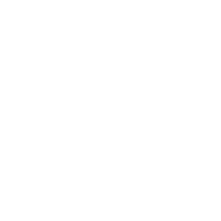 Spirit