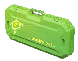 Letnia walizka e-sportowa 2014