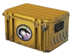 Recoil Case