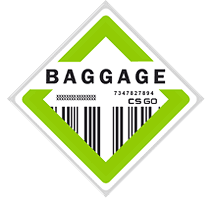 The Baggage Collection
